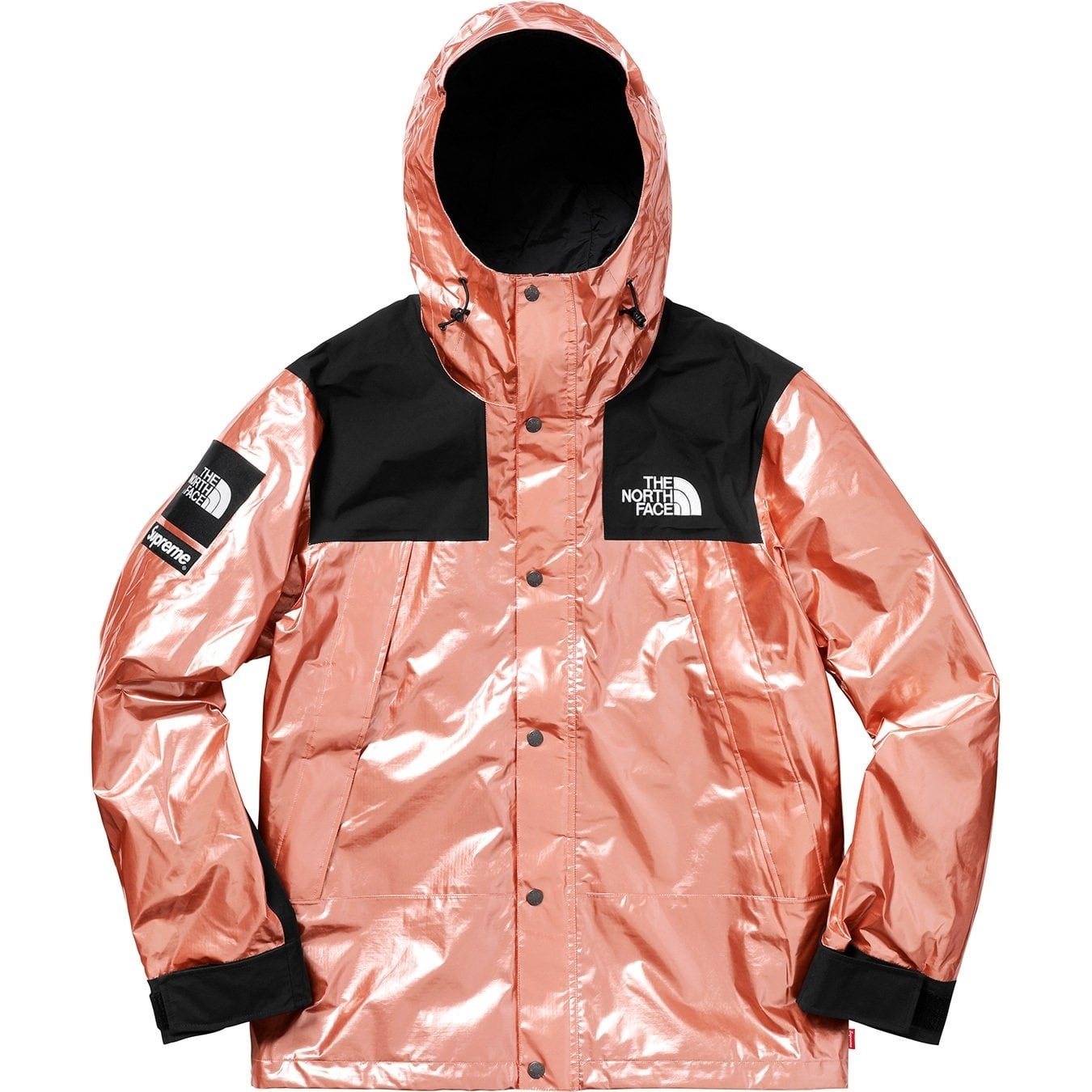 Supreme®/The North Face® Metallic Mountain Parka view 6